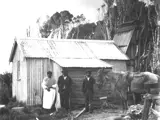 Te Naihi